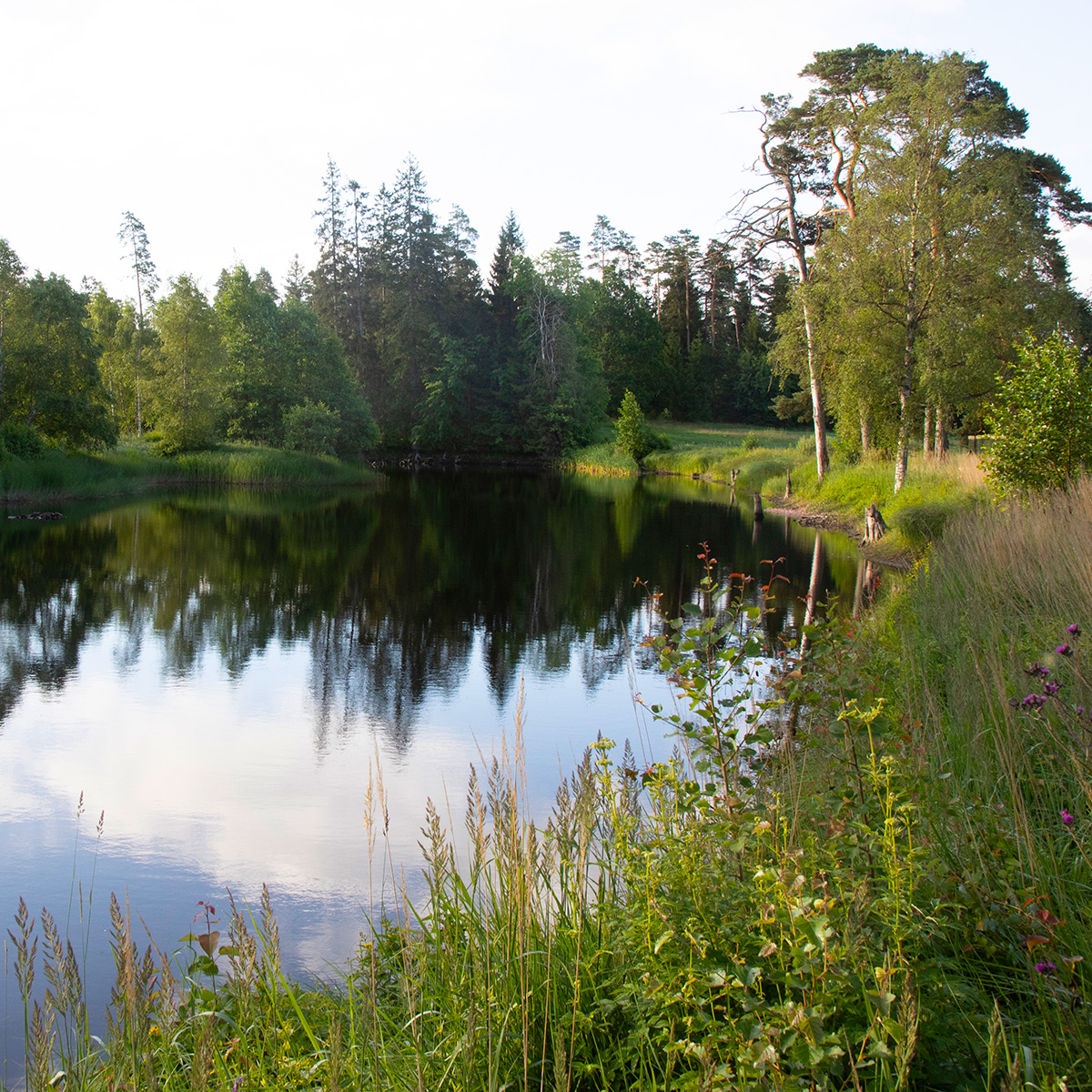 Natur och hållbarhet